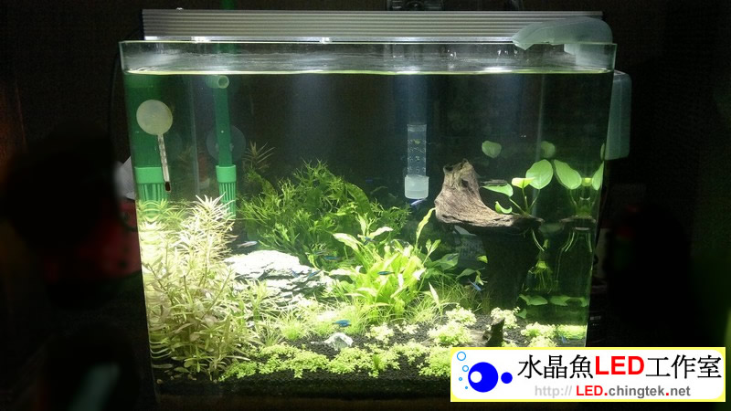 1.2呎(39公分) 可切換式 LED水族燈:　1.2呎 水草缸